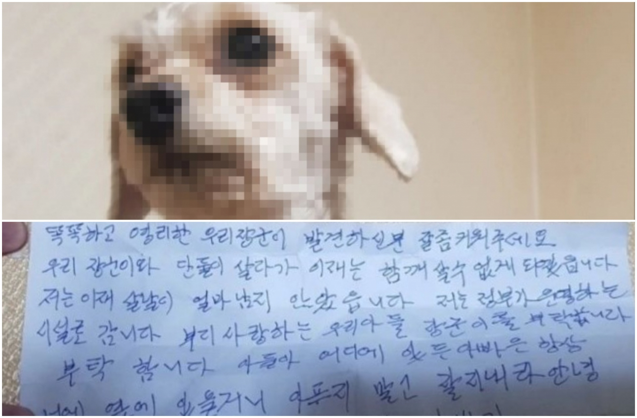 [인스타그램]
