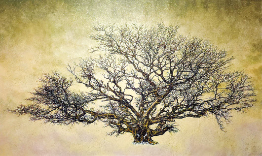 이경재, 화산섬-대지 위에서, 장지에 아크릴, 182 x 360cm, 2022