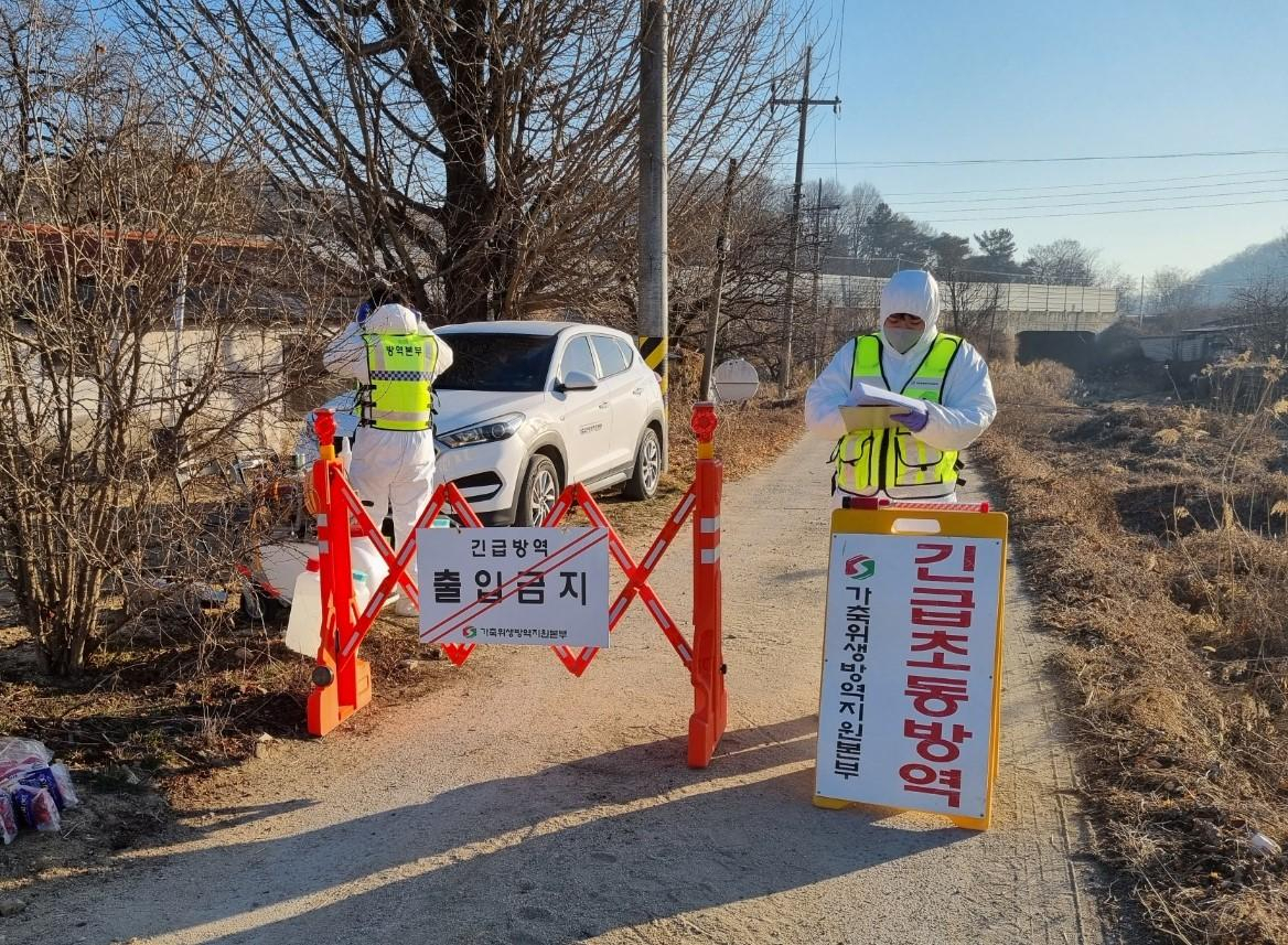 경북 상주시 육계 농장에서 고병원성 조류인플루엔자(AI) 의사환축이 발견돼 방역당국이 출입을 통제하고 있다.[경북도 제공]