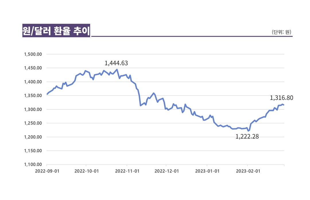 ‘킹달러’ 다시 시작?…달러 던지던 환테크족 ‘갈팡질팡’[머니뭐니]