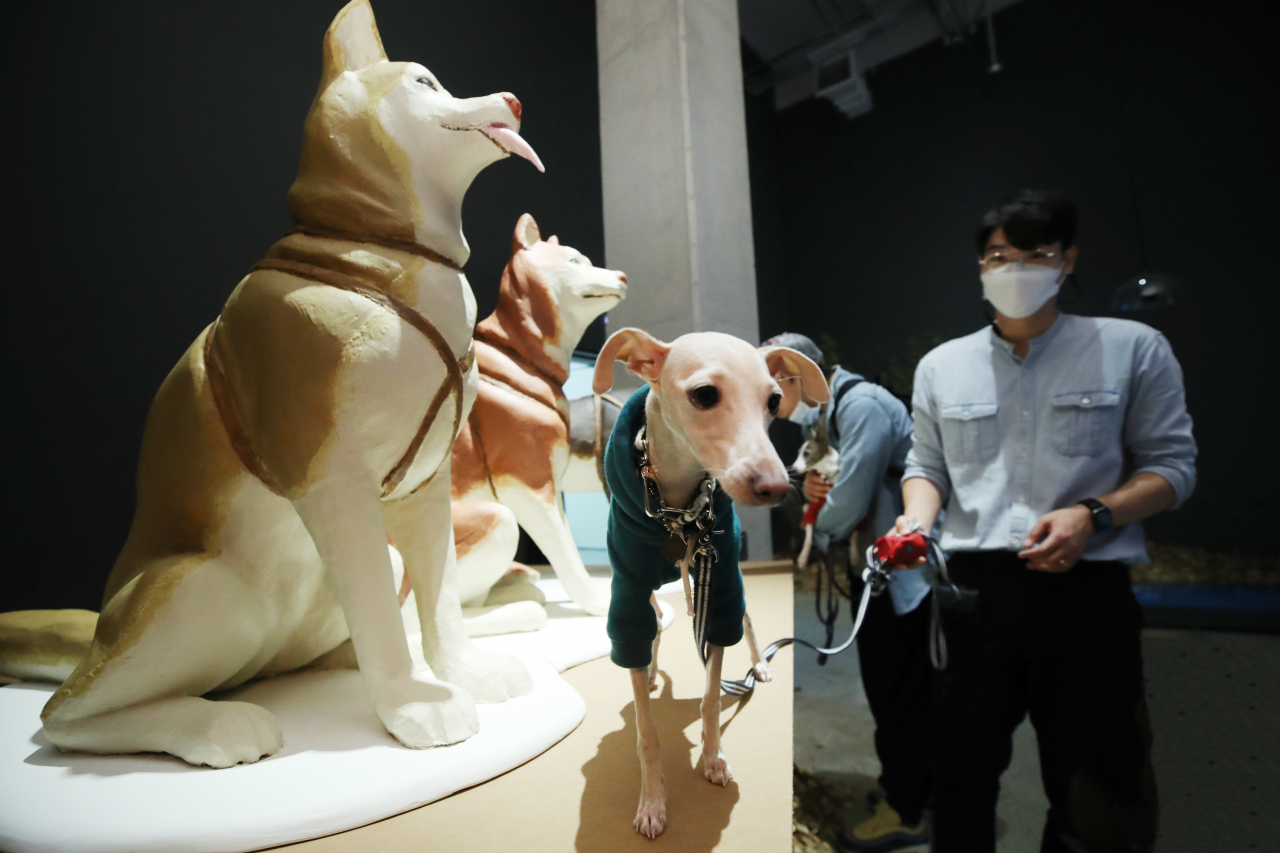 '모두를 위한 미술관, 개를 위한 미술관' 언론 설명회에서 설채현 수의사와 반려견이 전시를 관람하고 있다. [연합]