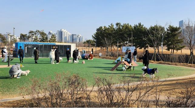 달빛공원 도그파크