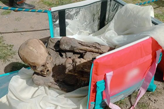 지난달 25일 페루 경찰이 푸노 인근 고고학 유적지 근방에서 불시 검문한 훌리오 세사르 베르메호(26)에게 압류한 미라. [페루 문화부]