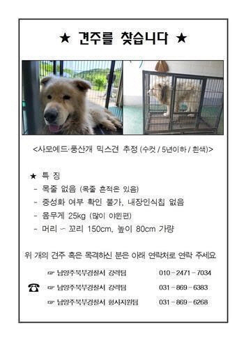 2021년 남양주에서 산책하던 사람을 물어 숨지게 한 개의 견주를 찾는 전단[남양주북부경찰서]