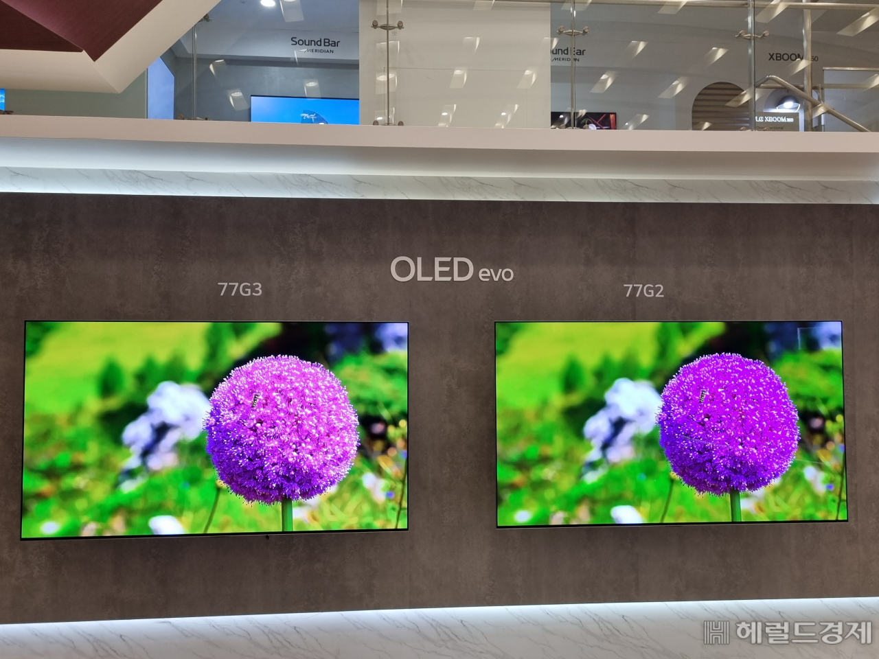 2023년형 LG 올레드 에보 G3(왼쪽)과 전작 LG 올레드 에보 G2(오른쪽) 화질 비교. 김민지 기자
