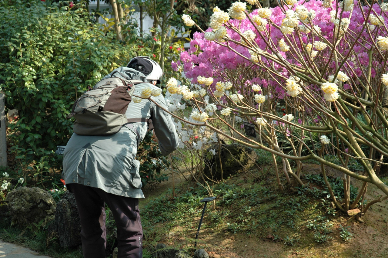 A visitor observes flowers at Hwaseong Botanical Garden in Hwaseong, Gyeonggi Province, on Tuesday. (Lee Si-jin/The Korea Herald)