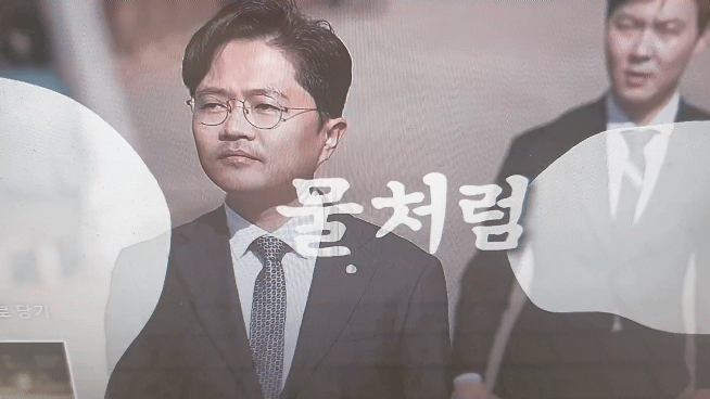 해당 영상은 30년 가까이 이어오며 현대미술 분야의 명성을 쌓아온 광주비엔날레를 비엔나소시지와 연계하면서 예산낭비와 부적절한 행정기획이라는 지적으로 이어졌다.