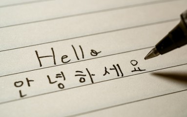 Korean adoptees discover lost identities through language