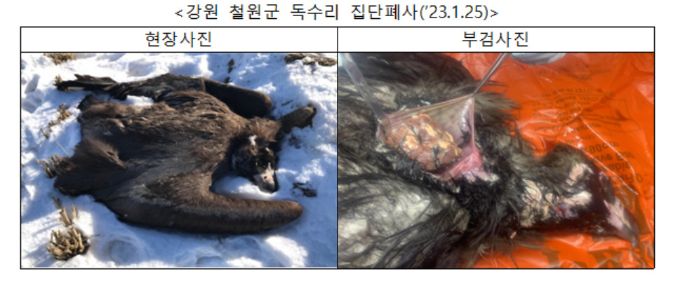 [환경부 제공]