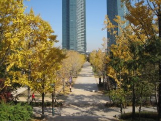 Take subway to Eden, pockets of nature in Seoul 