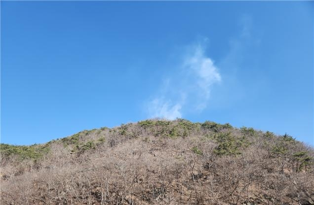 화순 산불 현장[산림청 제공]