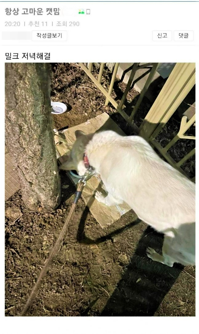 [온라인 커뮤니티 보배드림]