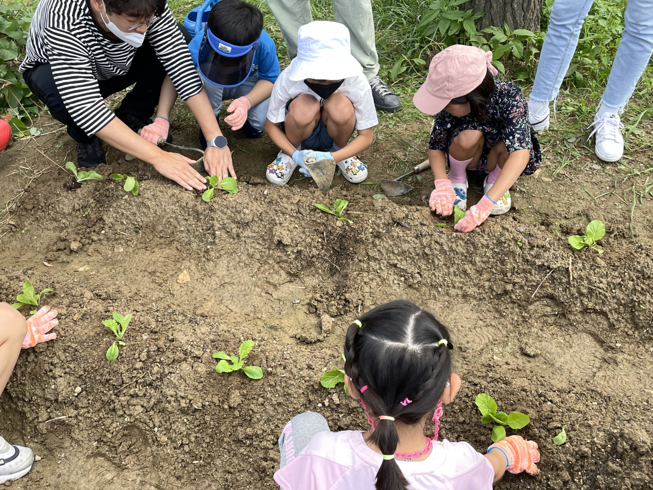 어린이들이 서울어린이대공원이 분양한 텃밭에서 경작 활동을 하고 있다. [서울시설공단 제공]