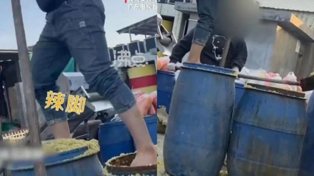맨발로 절임 통 밟는 쏸차이 공장 작업자들. [텐센트 캡쳐=연합]