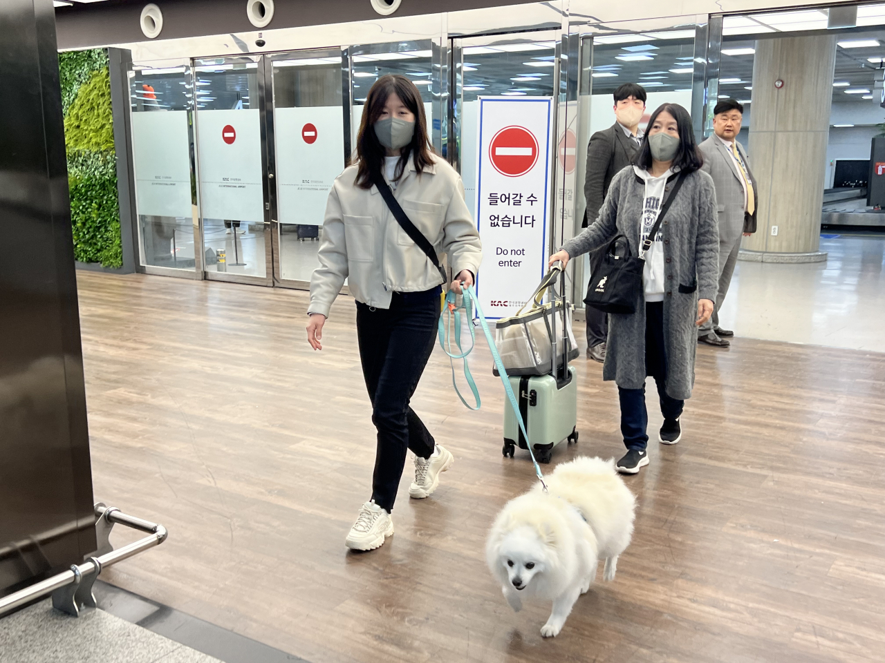 “좀 얼떨떨하지만 괜찮았어” 반려견 동반 여행 항공기 제주 공항 착륙