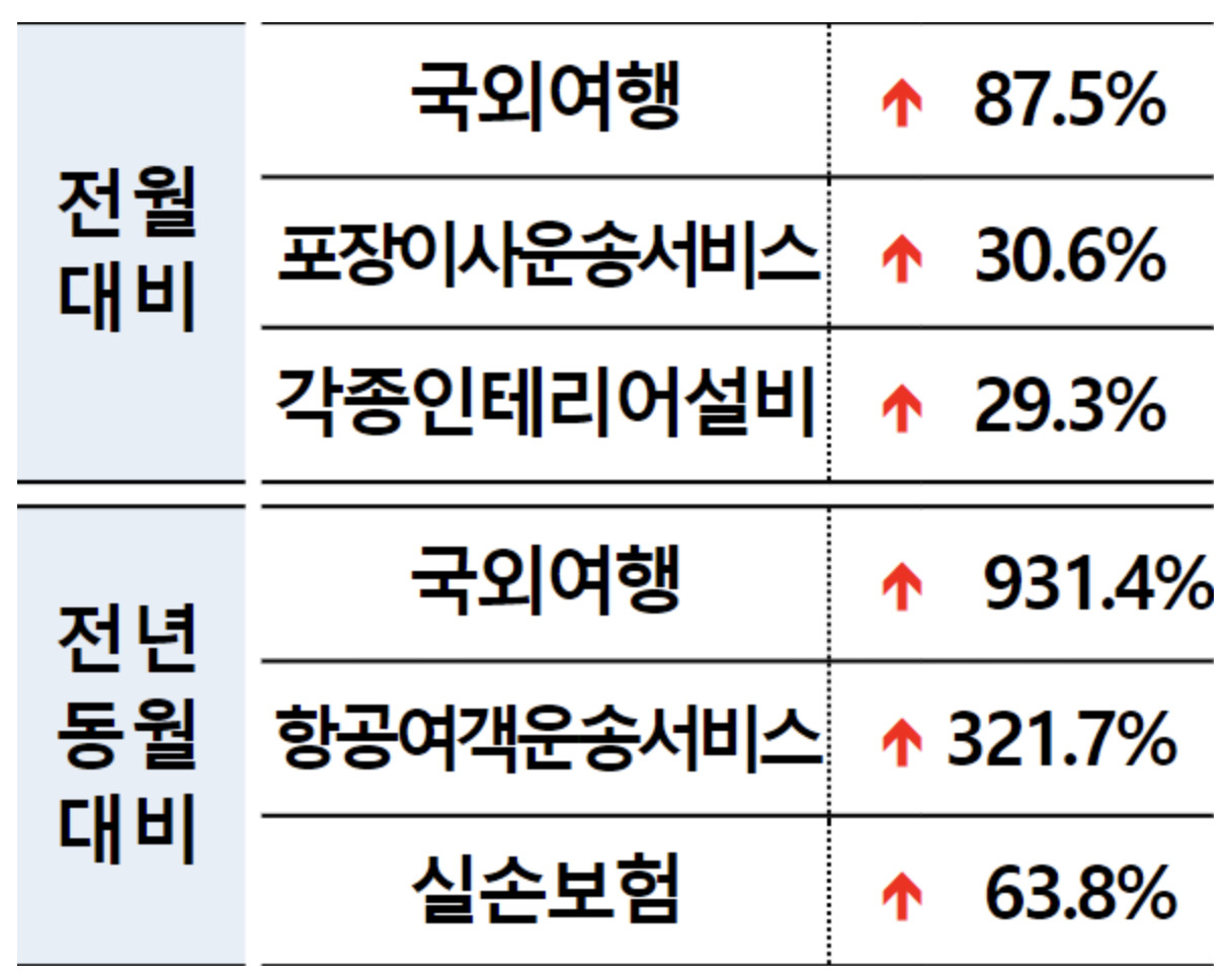 [한국소비자원 제공]