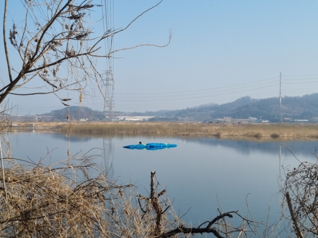 아산 곡교천 패러글라이딩 사고 [[충남소방본부 제공]
