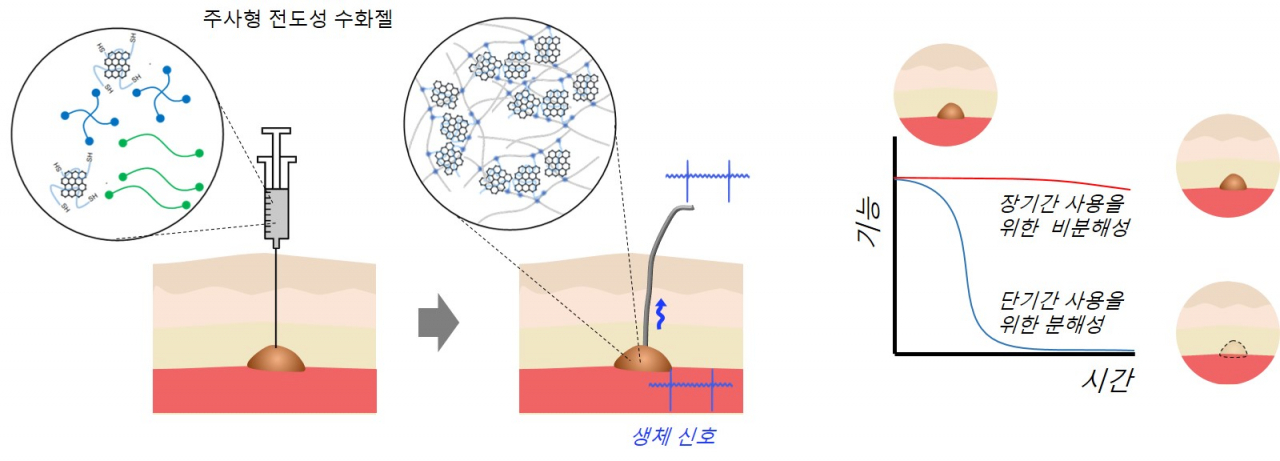 분해성 및 안정성 주사형 전도성 수화젤의 생체신호 전극 활용 모식도.[GIST 제공]