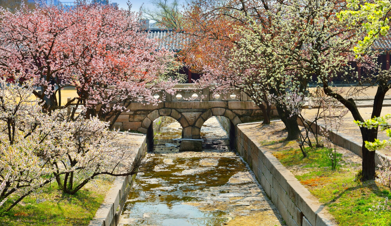 봄꽃의 최고는 꽃대궐 궁과 능..개화시기와 문화행사 안내 - 헤럴드경제