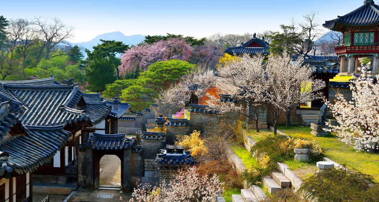 봄꽃의 최고는 꽃대궐 궁과 능..개화시기와 문화행사 안내 - 헤럴드경제