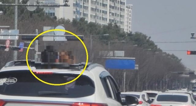 온라인커뮤니티 갈무리