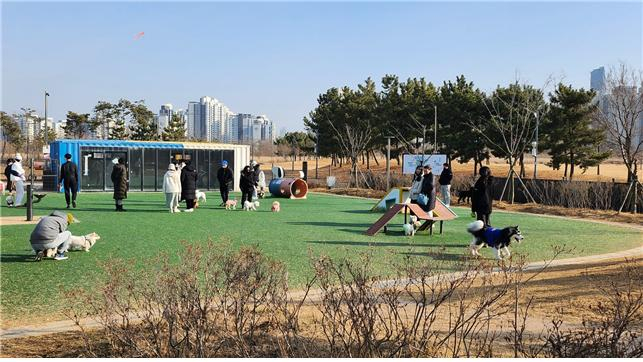 인천 송도 달빛공원 도그파크