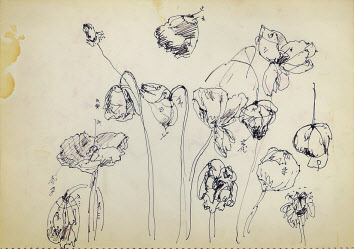 천경자, 무제(Untitled), 종이에 펜, 24.3&times;35.2cm