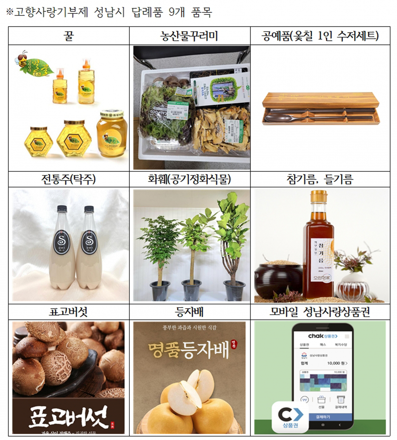 [성남시 제공]