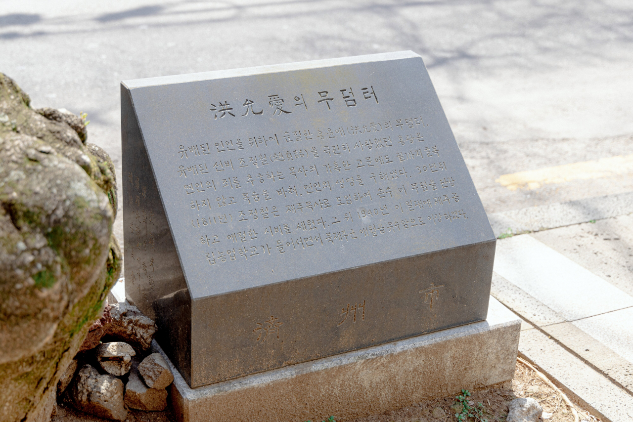 제주 삼도동 전농로 벚꽃로드 홍윤애 무덤터