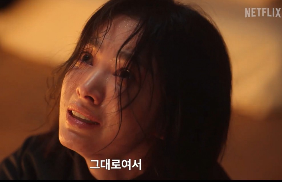 “송혜교 복수 ‘누누티비’ 못 봐? 그럼 00 본다” 도둑시청족 막을 순 없다?