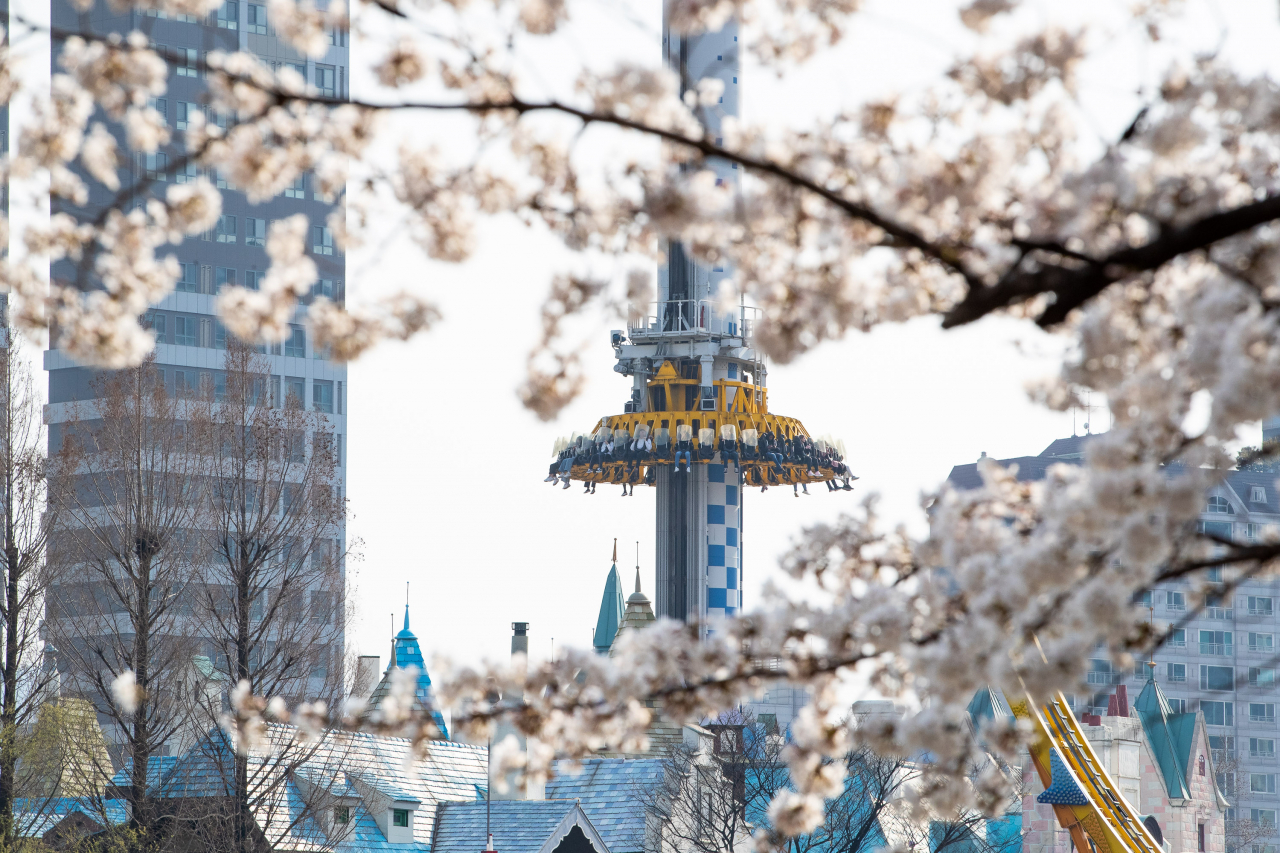 벚꽃사이 자이로드롭