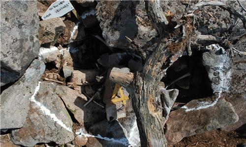 This photo shows a site where the remains of Ssg. Heo Chang-sik were first discovered in Inje, 119 kilometers east of Seoul, in May 2011. (Ministry of Defense)