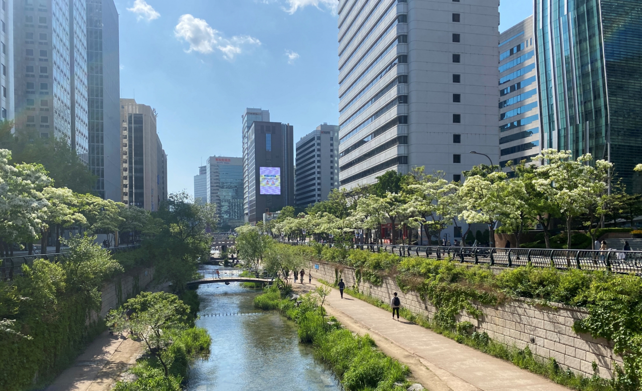 서울시 종로구 청계천 이팝나무길