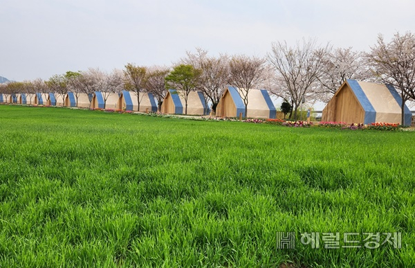 순천만국가정원박람회장 청보리밭 너머 동천변에 자리한 '가든스테이' 풍경. /박대성 기자.
