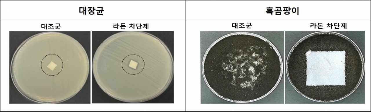 한국원자력연구원이 자체 개발한 항균성 라돈 차단용 도료는 고농도 라돈 방출에도 90% 이상의 라돈 차단율과 우수한 항균, 항곰팡이 특성을 보였다.[한국원자력연구원 제공]