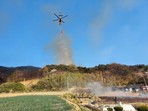 고창 산불 현장[전북 소방본부 제공]