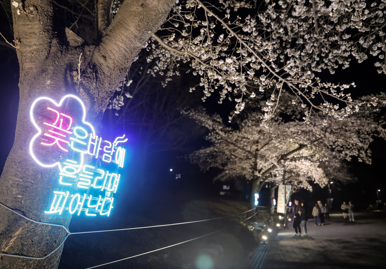 서울대공원은 5~9일 4년 만에 ‘서울대공원 벚꽃축제’를 개최한다. [서울대공원 제공]