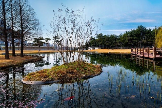 반도체 만드는데 물을 이렇게 많이 써? 삼성이 ‘수달’까지 내세운 이유 [김민지의 칩만사!]