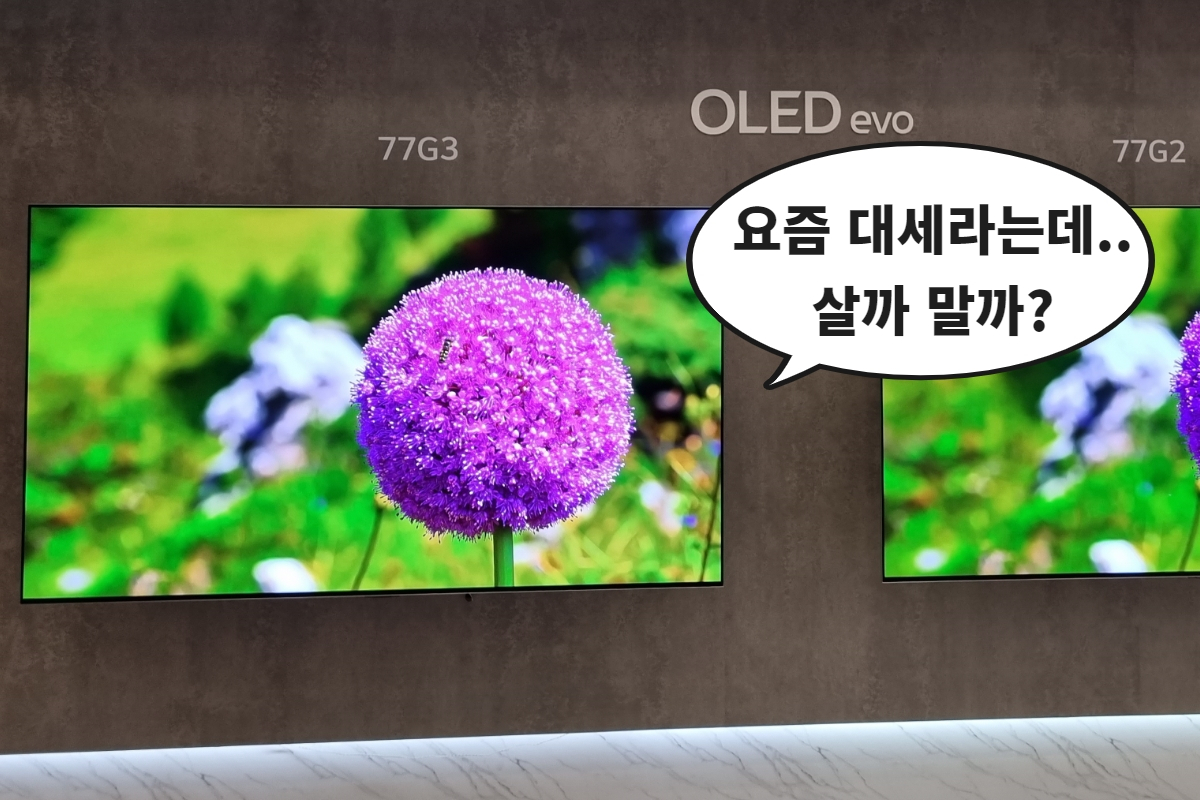 “혼수로 800만원 OLED TV 괜찮나요?” 삼성·LG 고민한다면 꼭 따져보세요 [세모금]