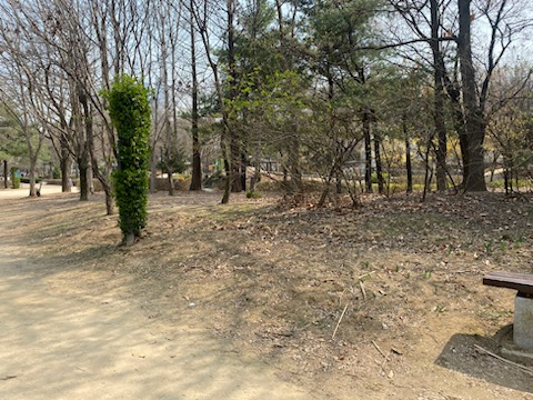 사진은 윈터숲 조성 전 해당 부지. [서울시 제공]