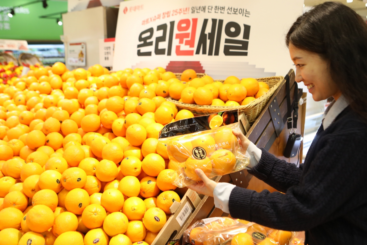 롯데마트 서울역점에서 모델이 ‘황금당도 오렌지’를 들고 있다. [롯데마트 제공]