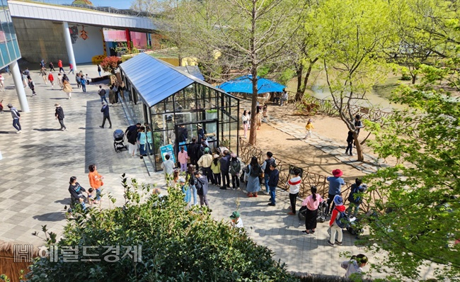 8일 오후 순천만정원박람회장 서문 동물원을 방문한 어린이를 동반한 부모들이 동물과 교감하며 휴식을 취하고 있다. /박대성 기자.
