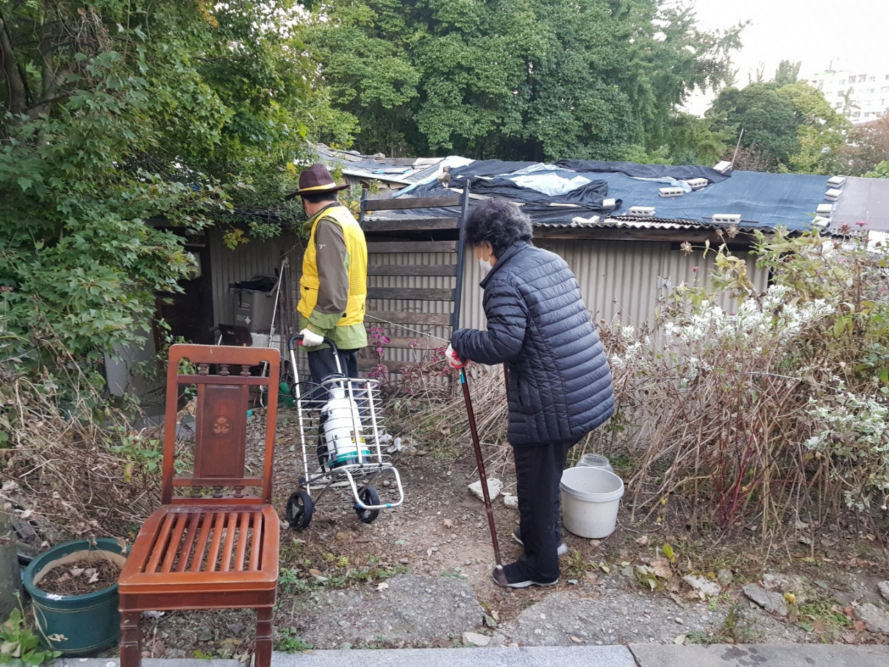 사진은 모기보안관 활동 장면. [서초구 제공]