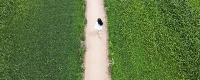 경북 안동 헴프 규제자유특구.[안동시 제공]
