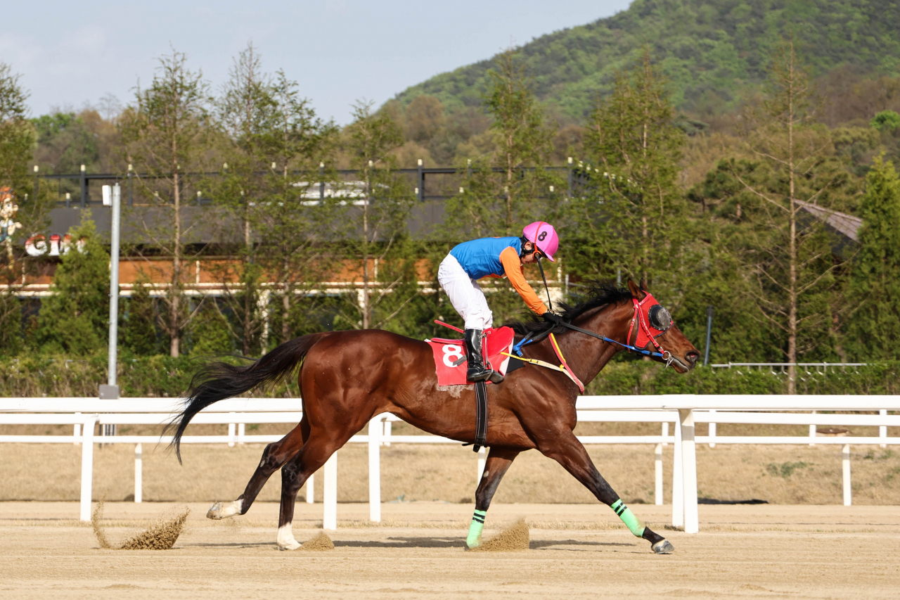 16일 열린 헤럴드경제배 대상경주 우승은 위너스맨과 서승운 기수.[마사회 제공]