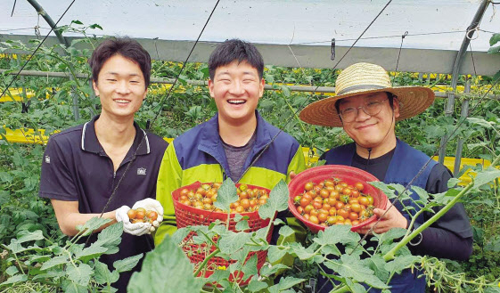 한 토마토 재배 농장 직원들이 수확한 토마토를 들고 웃고 있다. [쿠팡 제공]