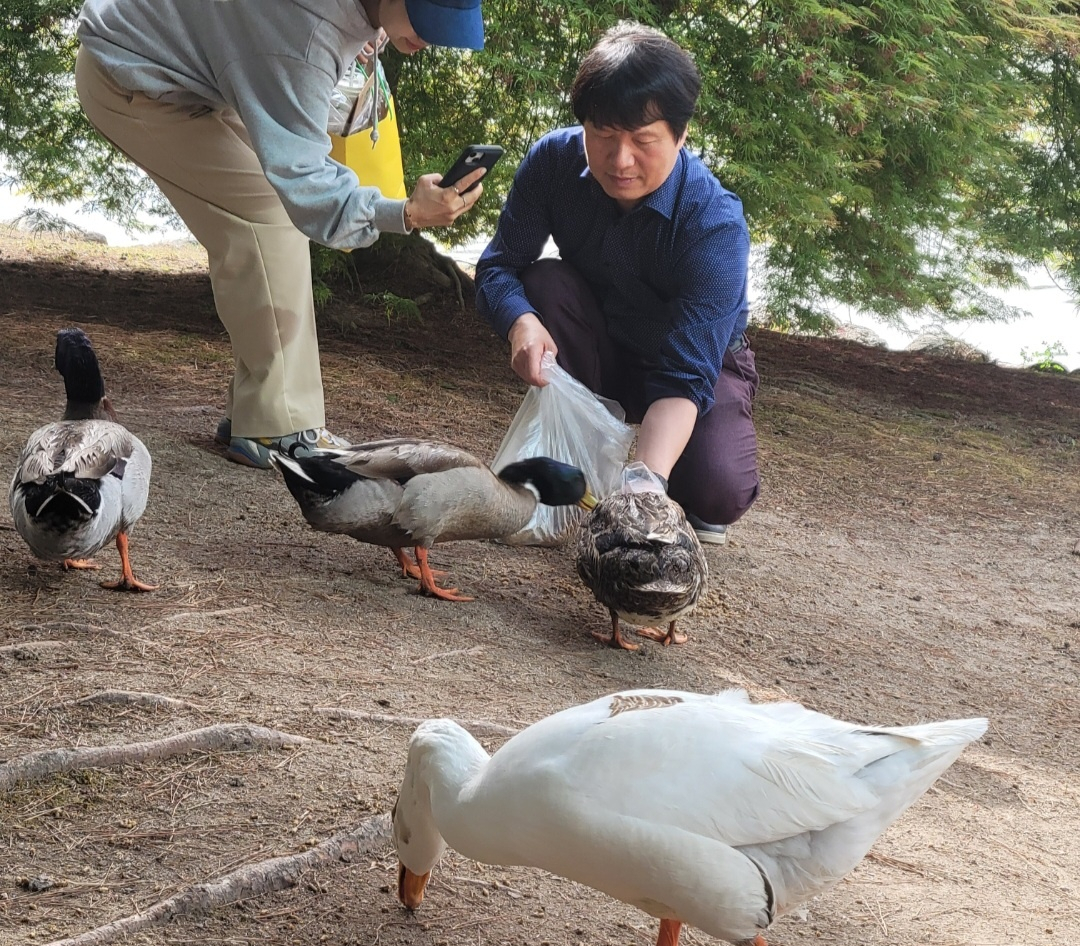 KAIST 총장급 대우 ‘거위’ 실종 사건…“누가 이런 짓을?” 학교 발칵