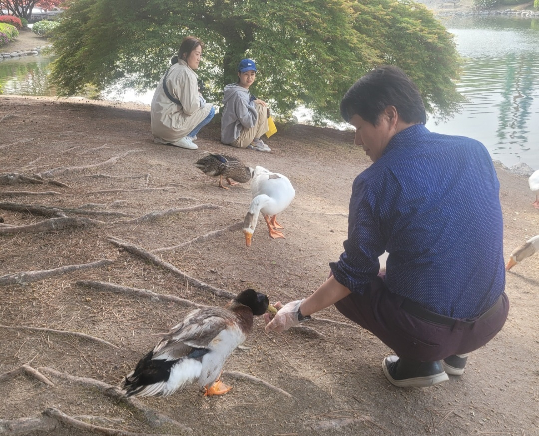 KAIST 총장급 대우 ‘거위’ 실종 사건…“누가 이런 짓을?” 학교 발칵