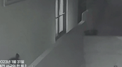 [대전경찰청 페이스북]
