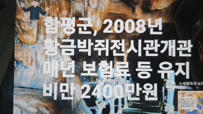 황금박쥐상은 140억원의 몸값을 자랑하고 있지만 보험료 등 한해 유지비 2000만원이 소요되고 있다.